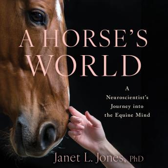 A Horse's World: A Neuroscientist's Journey into the Equine Mind