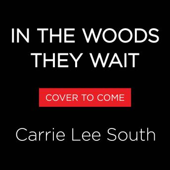 In the Woods They Wait: A Novel