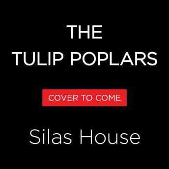 The Tulip Poplars