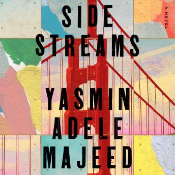 Side Streams: A Novel