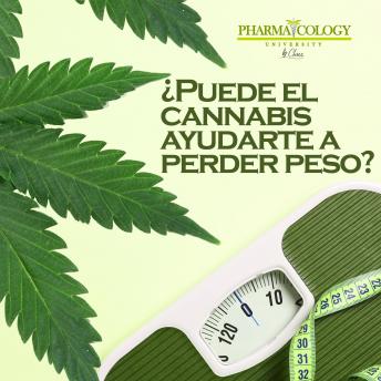 [Spanish] - ¿Puede el cannabis ayudarte a perder peso?