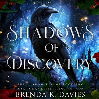 Shadows of Discovery (The Shadow Realms, Book 2)