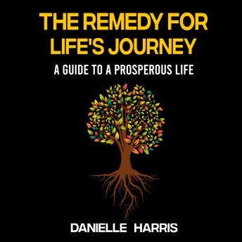 The Remedy For Life's Journey: A Guide To A Prosperous Life