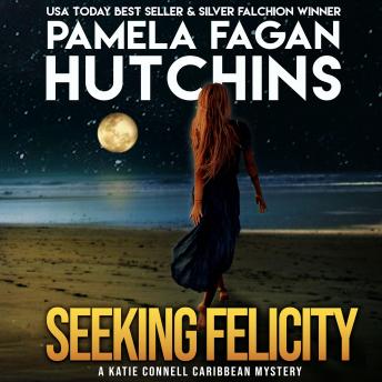 Download Seeking Felicity (A Katie Connell Texas-to-Caribbean Mystery): A What Doesn't Kill You Romantic Mystery by Pamela Fagan Hutchins