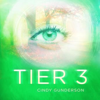 Tier 3