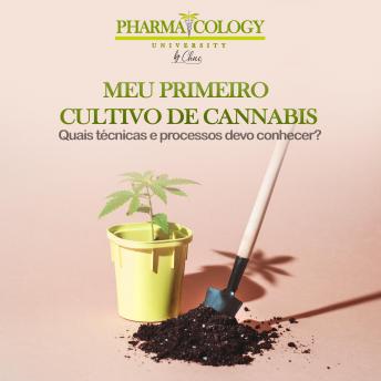 [Portuguese] - Meu primeiro cultivo de cannabis: Quais técnicas e processos devo conhecer?