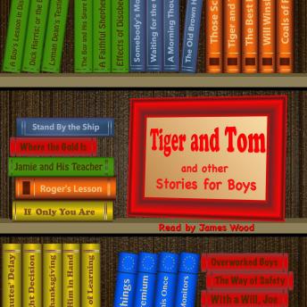 Tiger and Tom: And Other Stories for Boys