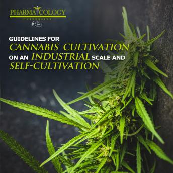 Guidelines for cannabis cultivation on a industrial scale and self-cultivation