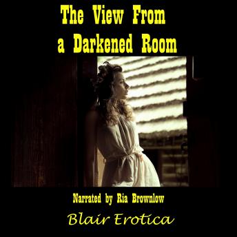 Download View From A Darkened Room: Searching For A Lusty Life by Blair Erotica