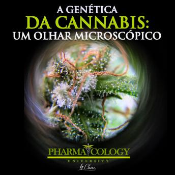 [Portuguese] - A genética da cannabis: um olhar microscópico