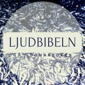 [Swedish] - GT | Domarboken: Ljudbibeln