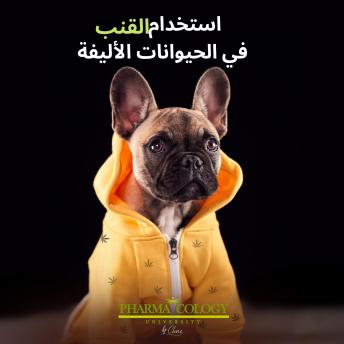 [Arabic] - استخدام القنب في الحيوانات الأليفة