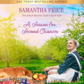 A Season for Second Chances: Amish Romance