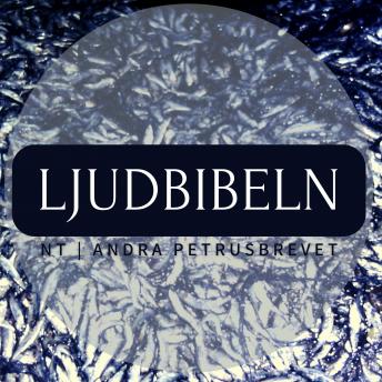 [Swedish] - NT | Andra Petrusbrevet: Ljudbibeln