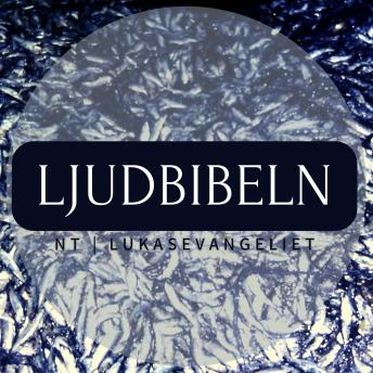 [Swedish] - NT | Lukasevangeliet: Ljudbibeln