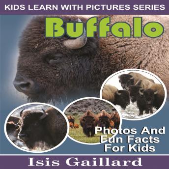 Buffalo: Photos and Fun Facts for Kids