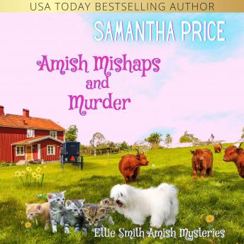 Download Amish Mishaps and Murder: Amish Cozy Mystery by Samantha Price