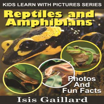 Reptiles and Amphibians: Photos and Fun Facts for Kids