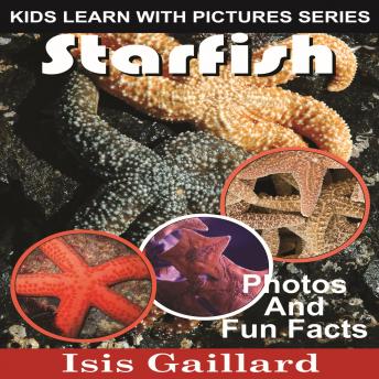 Starfish: Photos and Fun Facts for Kids