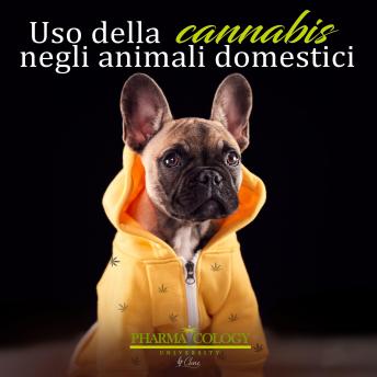 [Italian] - Uso della cannabis negli animali domestici
