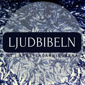 [Swedish] - NT | Apostlagärningarna: Ljudbibeln