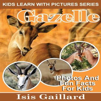 Gazelle: Photos and Fun Facts for Kids