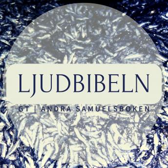 [Swedish] - GT | Andra Samuelsboken: Ljudbibeln