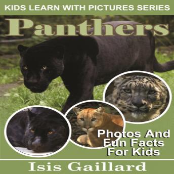 Panthers: Photos and Fun Facts for Kids