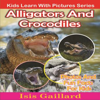 Alligators and Crocodiles: Photos and Fun Facts for Kids