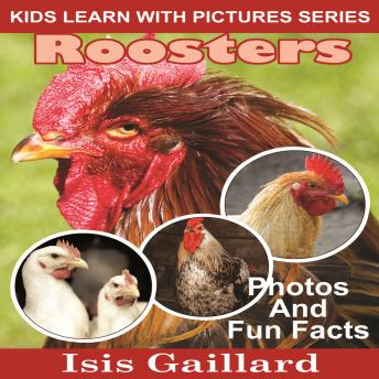 Roosters: Photos and Fun Facts for Kids