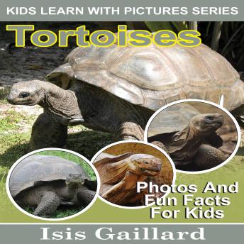 Tortoises: Photos and Fun Facts for Kids