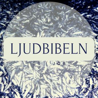 [Swedish] - GT | Job: Ljudbibeln
