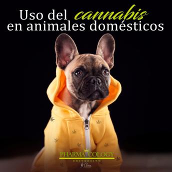 [Spanish] - Uso del cannabis en animales domésticos