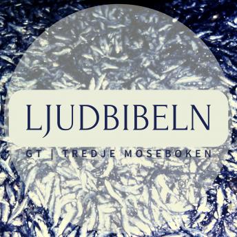 [Swedish] - GT | Tredje Moseboken: Ljudbibeln