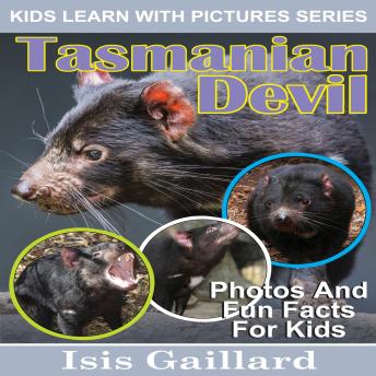 Tasmanian Devil: Photos and Fun Facts for Kids
