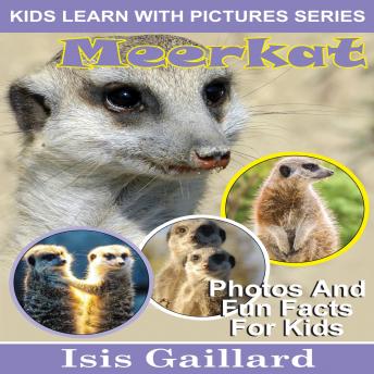 Meerkat: Photos and Fun Facts for Kids