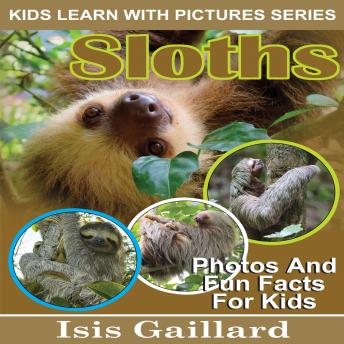 Sloths: Photos and Fun Facts for Kids