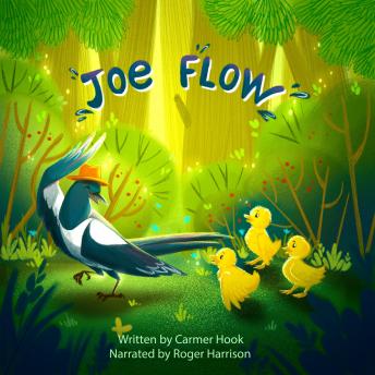 Joe Flow: Joe Flow the magpie inspires all who meet him with his unwavering resilience, patience and fortitude.