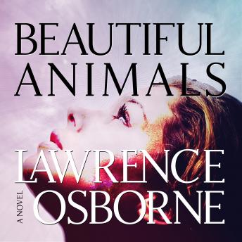 Beautiful Animals: A Novel, Lawrence Osborne