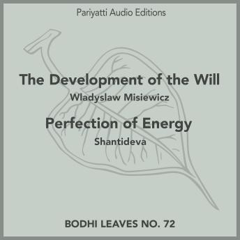 The Development of the Will and Perfection of Energy