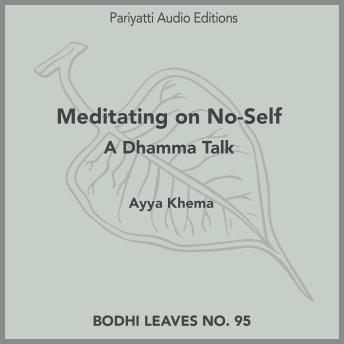 Meditating on No-Self: A Dhamma Talk
