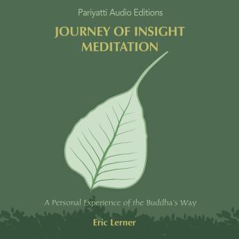Journey of Insight Meditation: A Personal Experience of the Buddha’s Way
