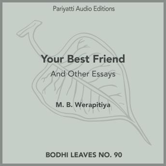 Your Best Friend: And Other Essays