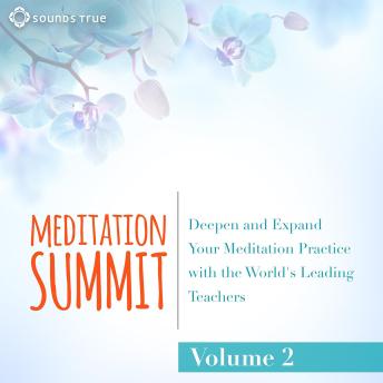 The Meditation Summit: Volume 2: Deepen and Expand Your Meditation Practice with the World's Leading Teachers