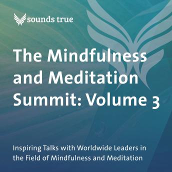 The Mindfulness and Meditation Summit: Volume 3: Inspiring Talks with Worldwide Leaders in the Field of Mindfulness and Meditation