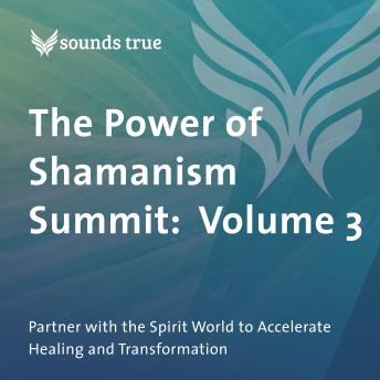 The Power of Shamanism Summit: Volume 3: Partner with the Spirit World to Accelerate Healing and Transformation