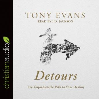 Detours: The Unpredictable Path to Your Destiny sample.