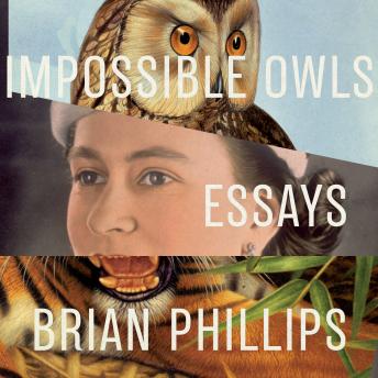 Impossible Owls: Essays
