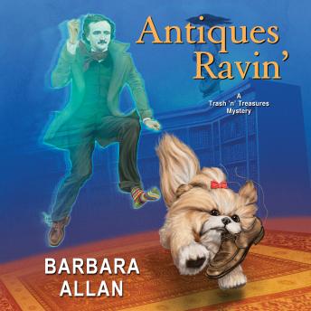 Antiques Ravin’, Audio book by Barbara Allan