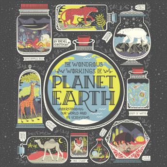 Download Wondrous Workings of Planet Earth: Understanding Our World and Its Ecosystems by Rachel Ignotofsky